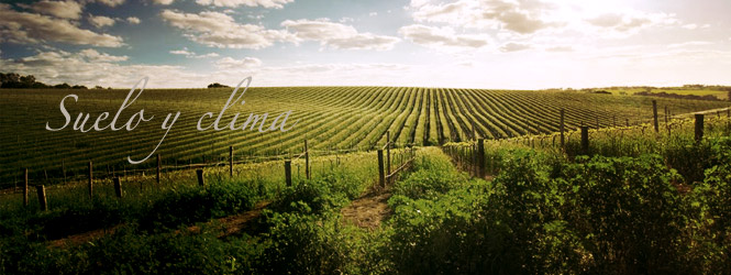 Suelo y Clima